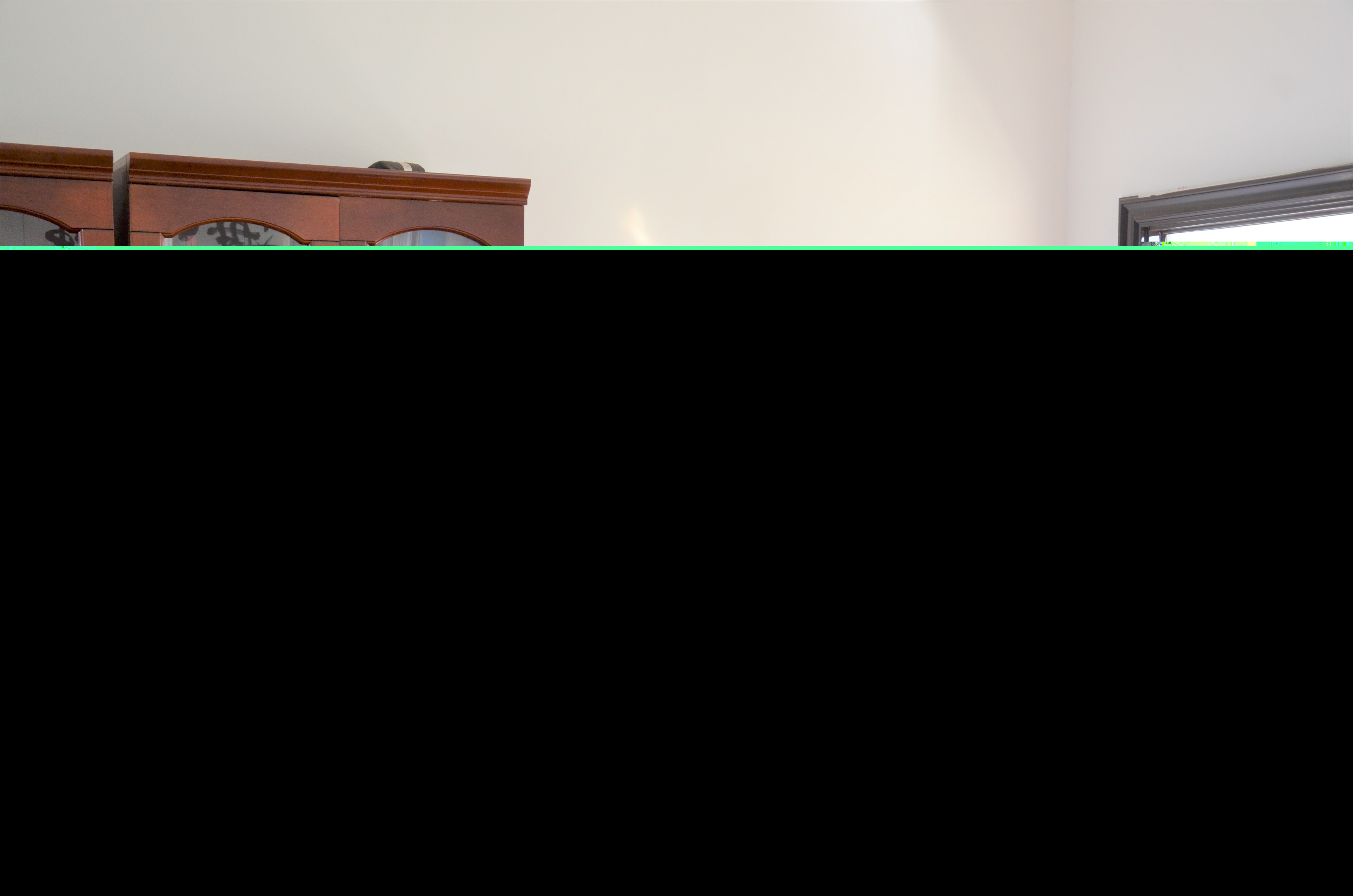 1618543475834041.jpg